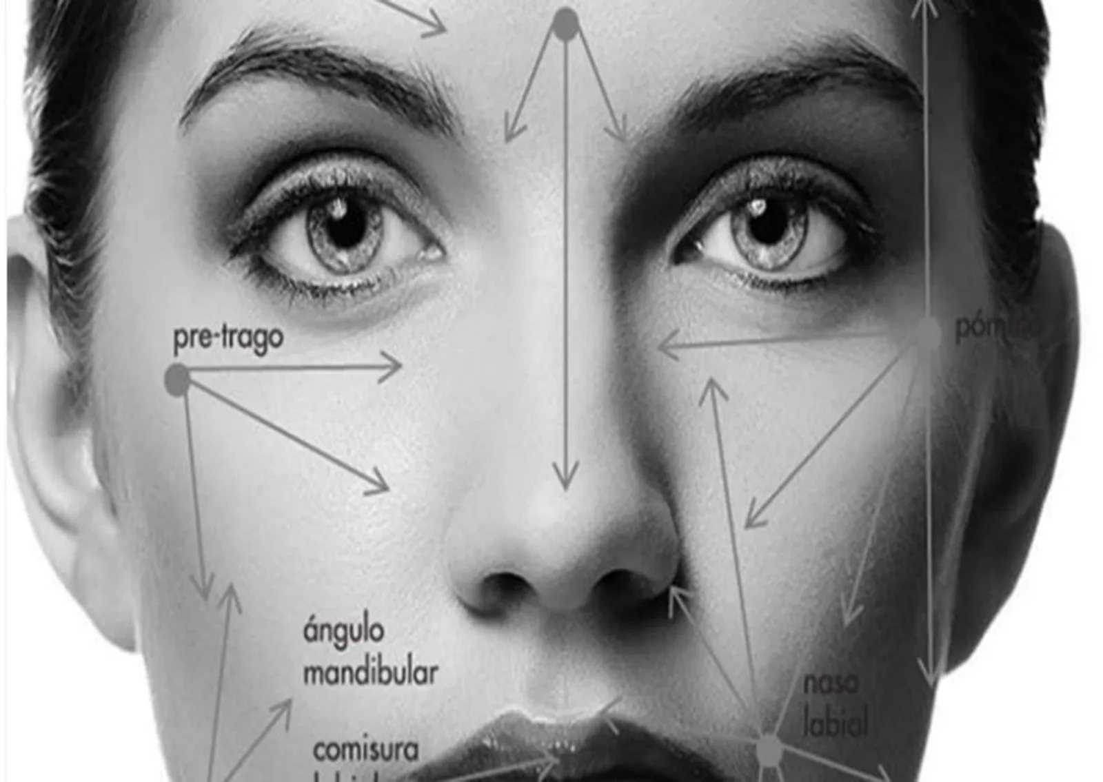 Cánula empleada en tratamientos faciales de medicina estética