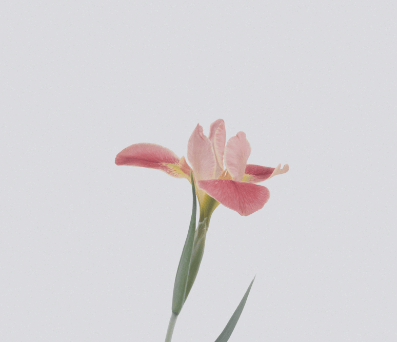 han-chenxu-YdAqiUkUoWA-unsplash